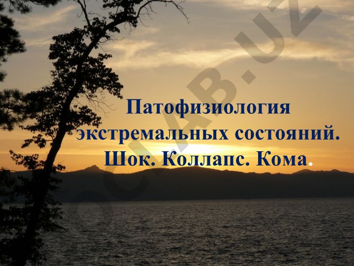 Экстремальные состояния: шок, коллапс, кома, обморок