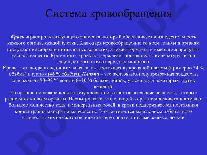Система кровообращения человека