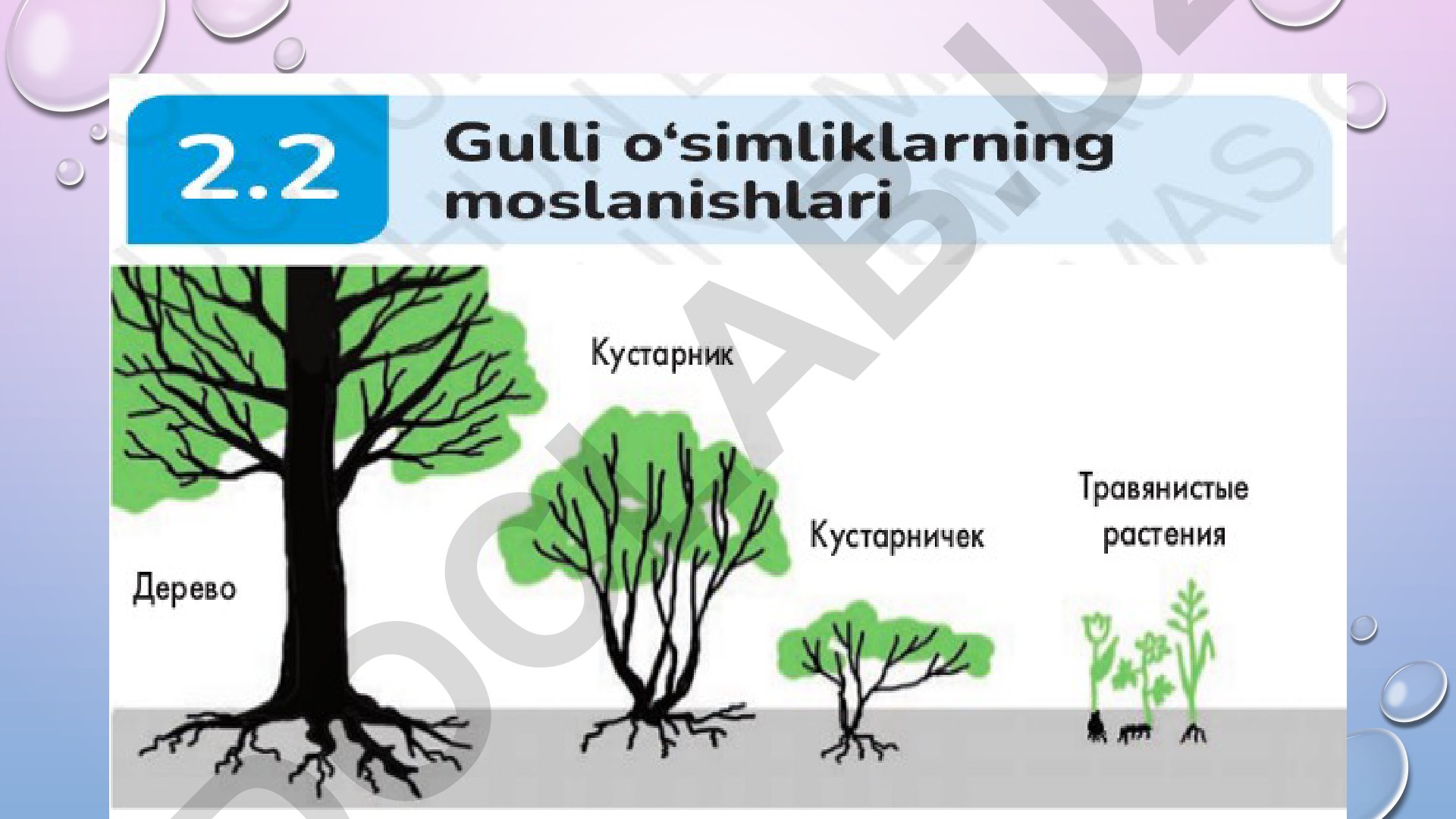 Topshiriqlarni bajarish bo'yicha ko'rsatmalar