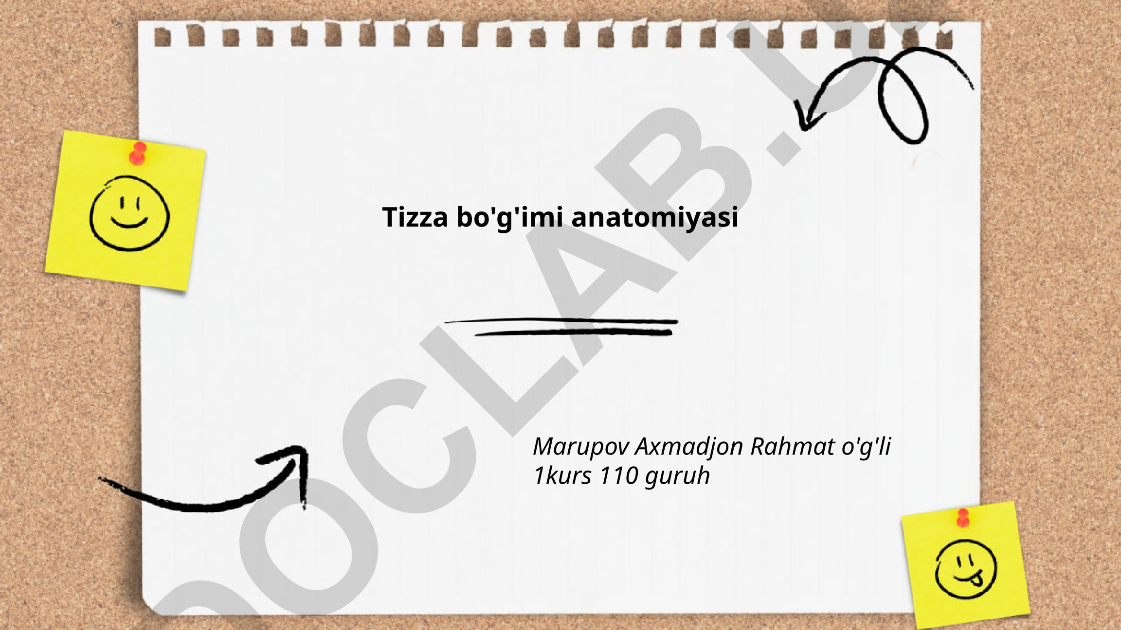 Tizza bo'g'imi anatomiyasi