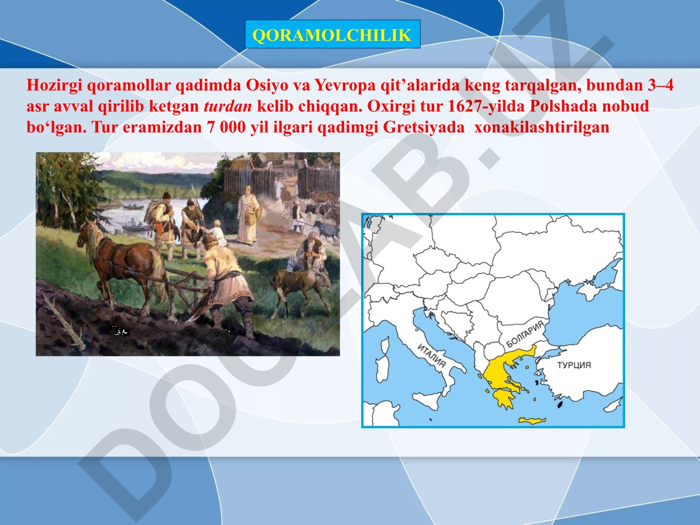 Qoramol va qo'ylarning xonakilashtirilishi va zotlari