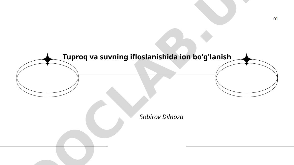 Tuproq va suv ifloslanishida ion bo'g'lanish mexanizmlari