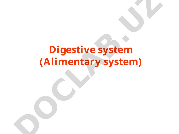 Human Digestive System Anatomy and Physiology