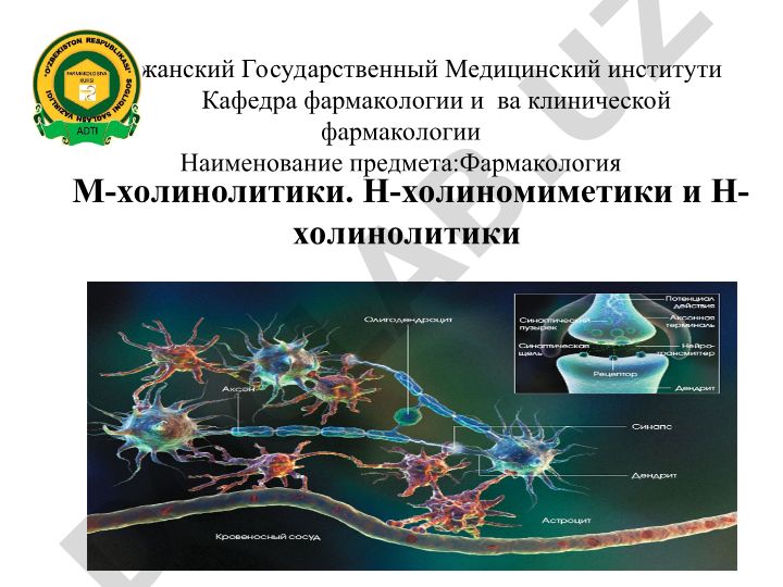М-холинолитики, Н-холиномиметики и Н-холинолитики