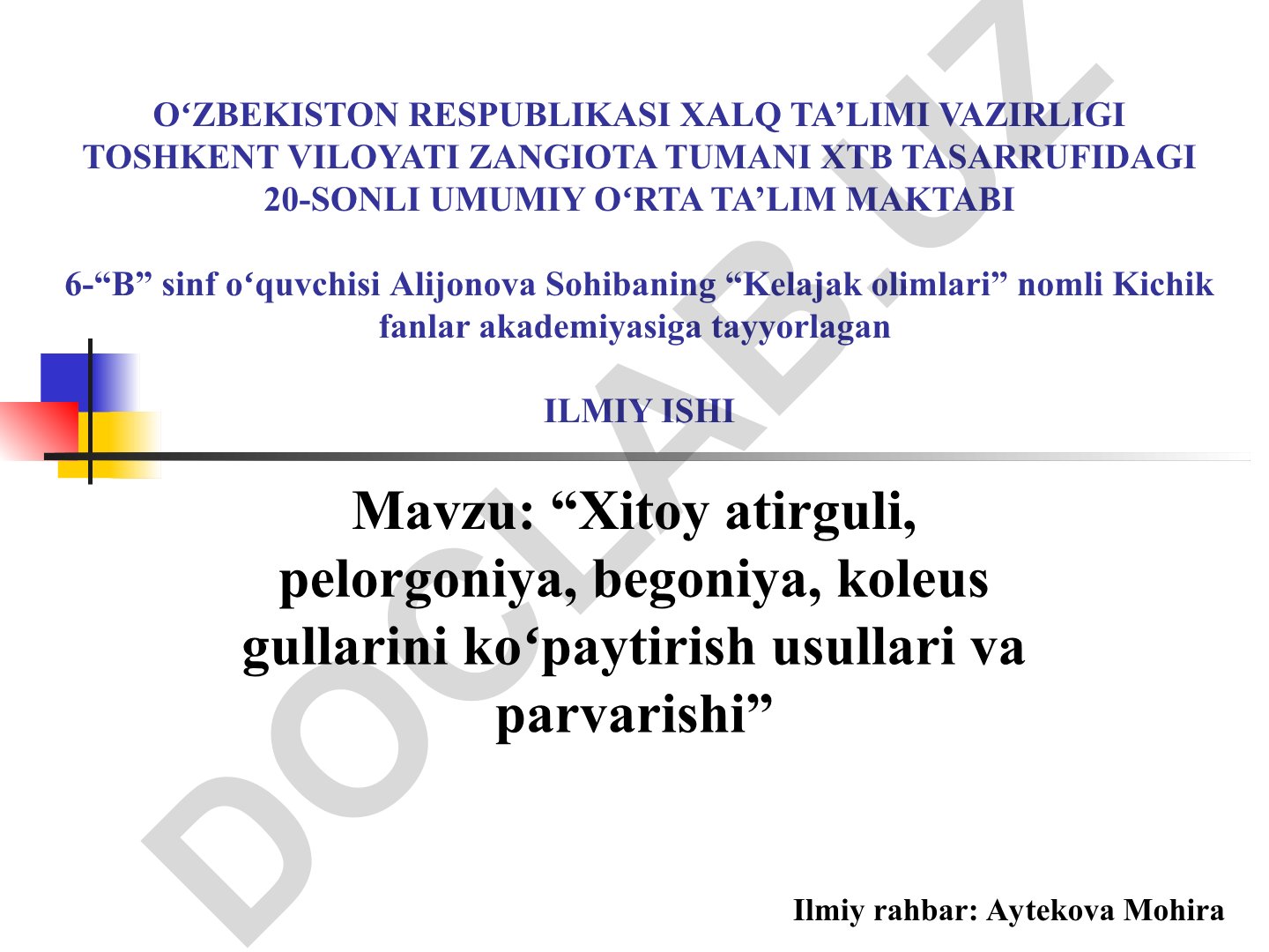 Xitoy atirguli, pelorgoniya, begoniya, koleus gullarini ko'paytirish usullari va parvarishi