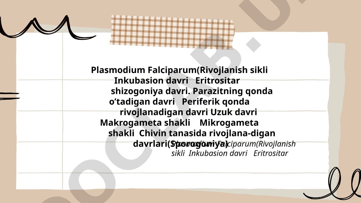 Plasmodium falciparum rivojlanish sikli va biologiyasi