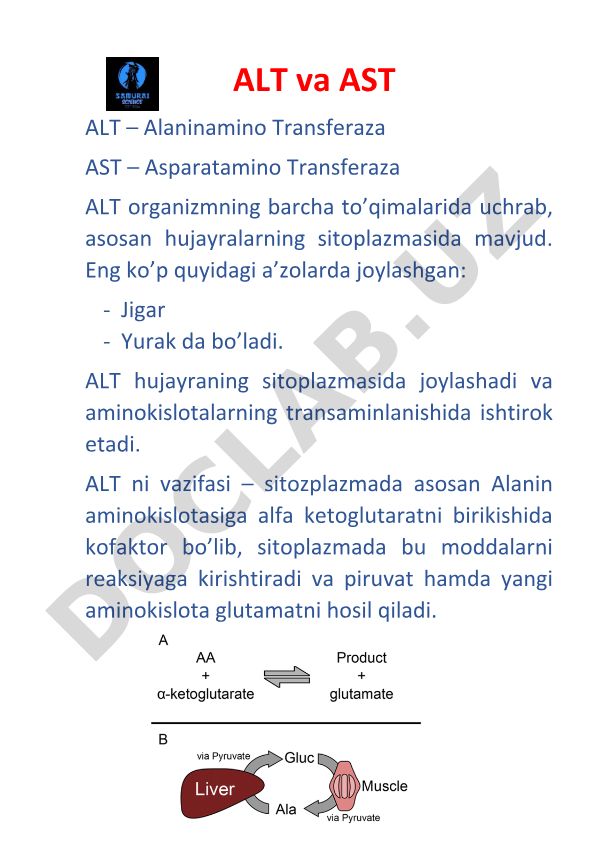 ALT va AST fermentlari: tuzilishi, vazifalari va normal darajalari
