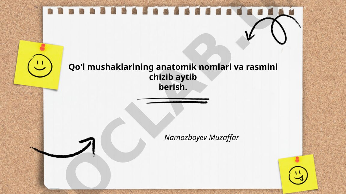 Qo'l mushaklarining anatomik nomlari va chizmalari