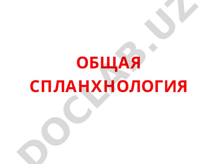 Общая спланхнология: строение внутренних органов
