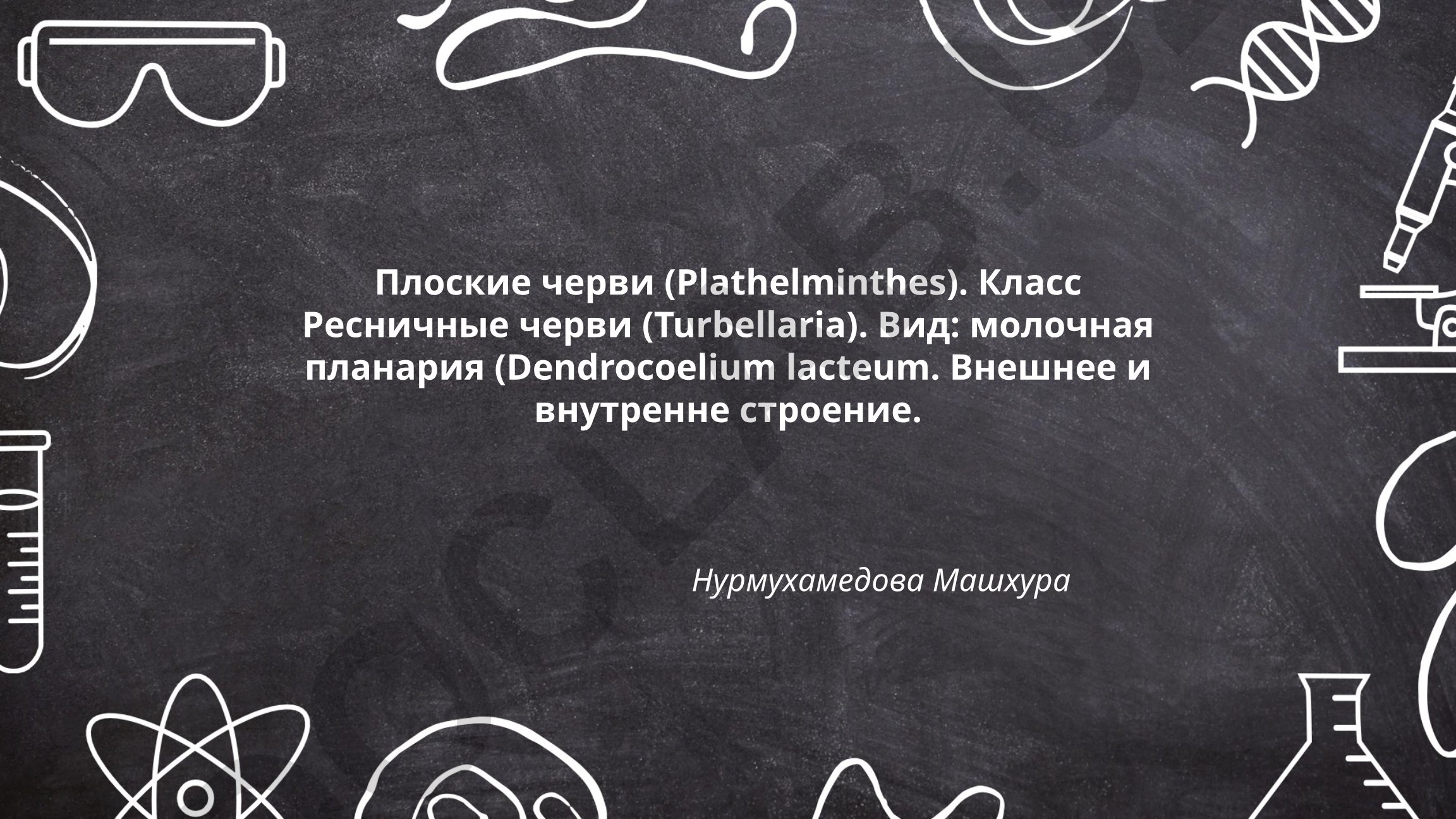 Плоские черви: класс Ресничные черви и молочная планария