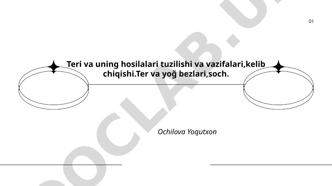Teri va uning hosilalari tuzilishi va vazifalari