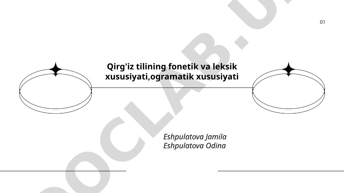 Qirg'iz tilining fonetik, leksik va grammatik xususiyatlari