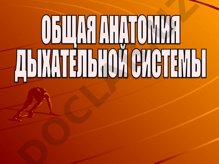 Порожнина носа и дыхательные пути