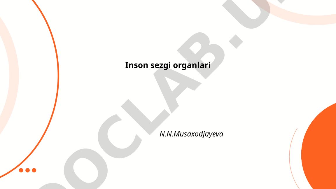 Inson sezgi organlari: ko'zning anatomiyasi va ko'rish jarayoni