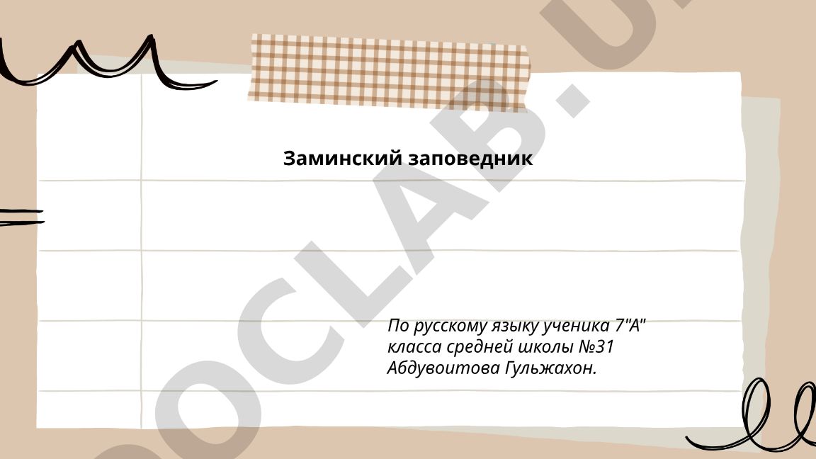 Заминский заповедник: история, география и ландшафты