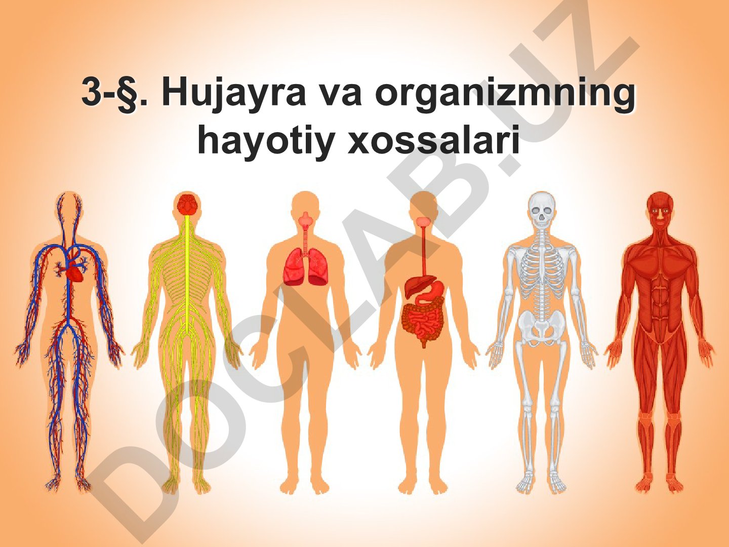 Hujayra va organizmning hayotiy xossalari