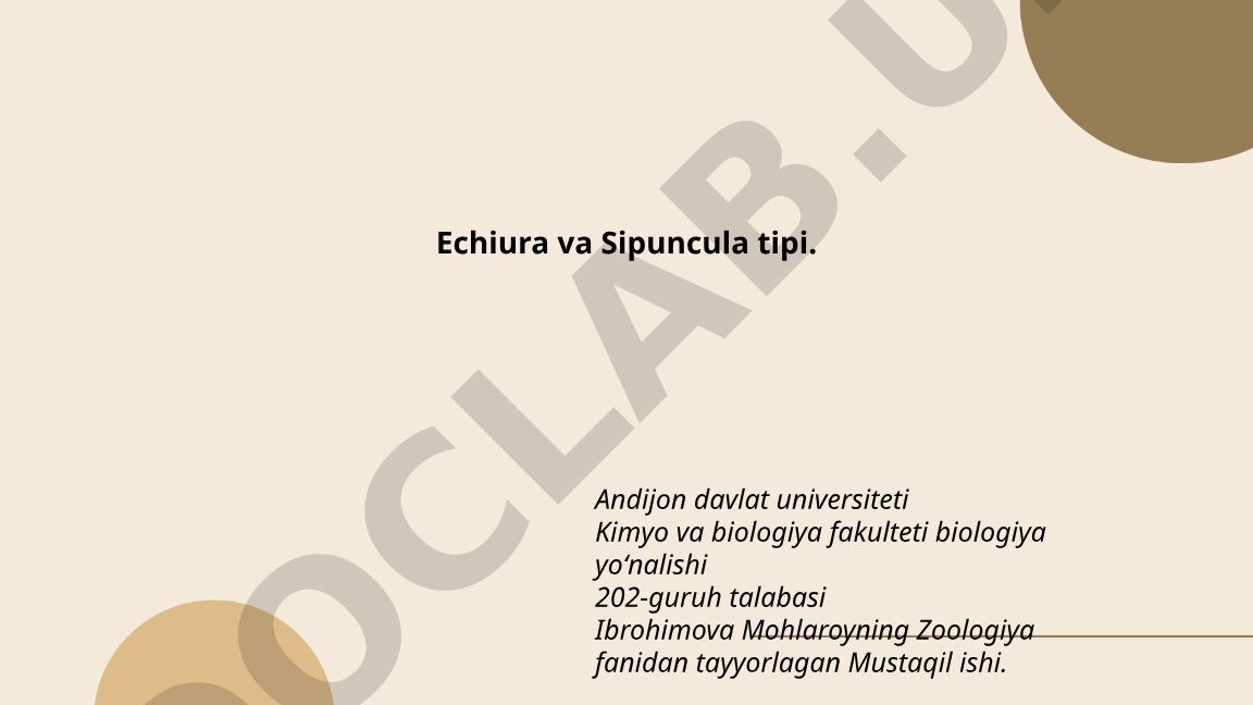 Echiura va Sipuncula tipi