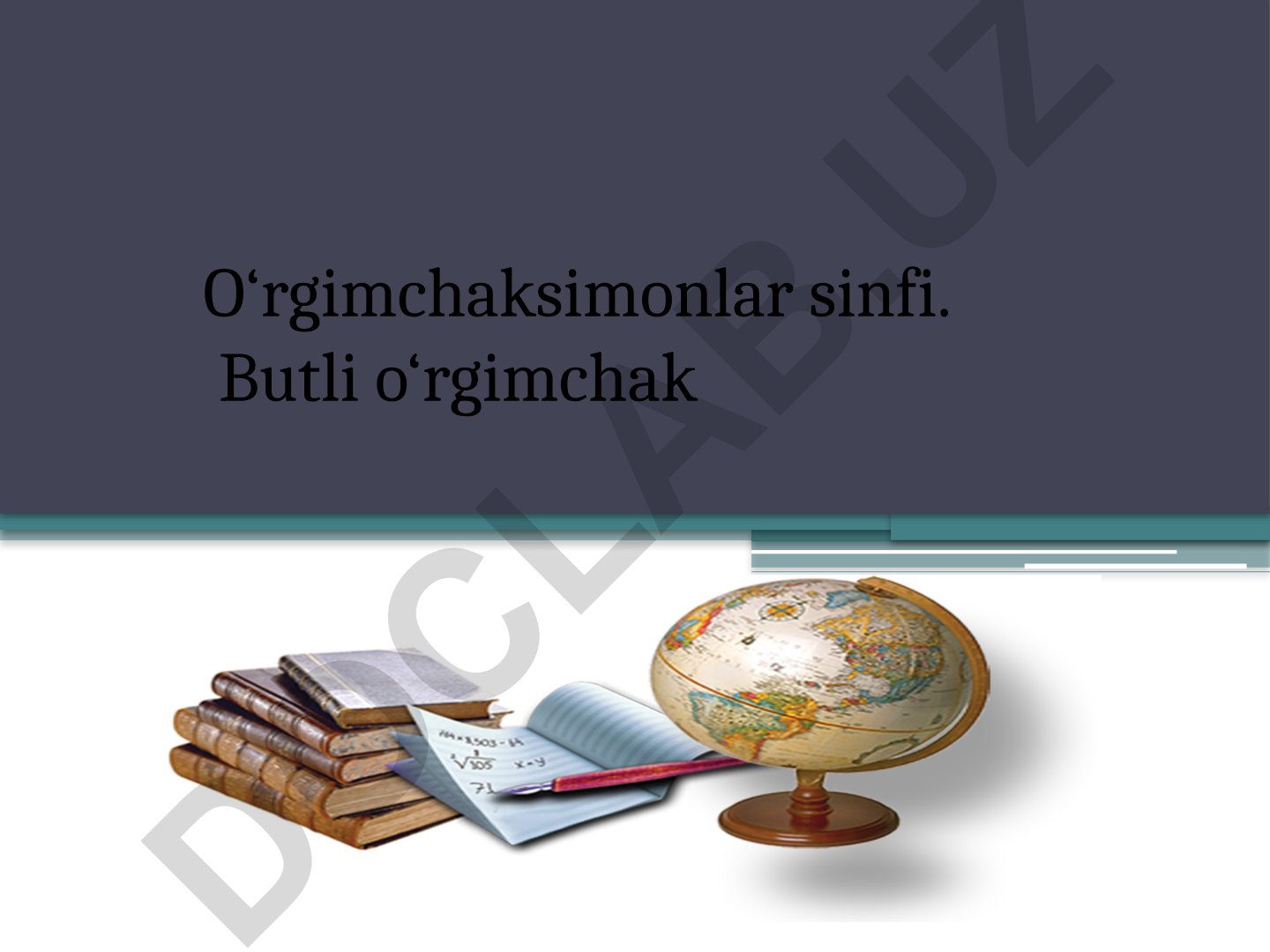 O‘rgimchaksimonlar sinfi va butli o‘rgimchak