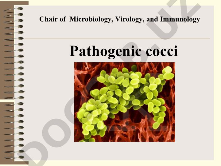 Pathogenic cocci Classification: Staphylococci