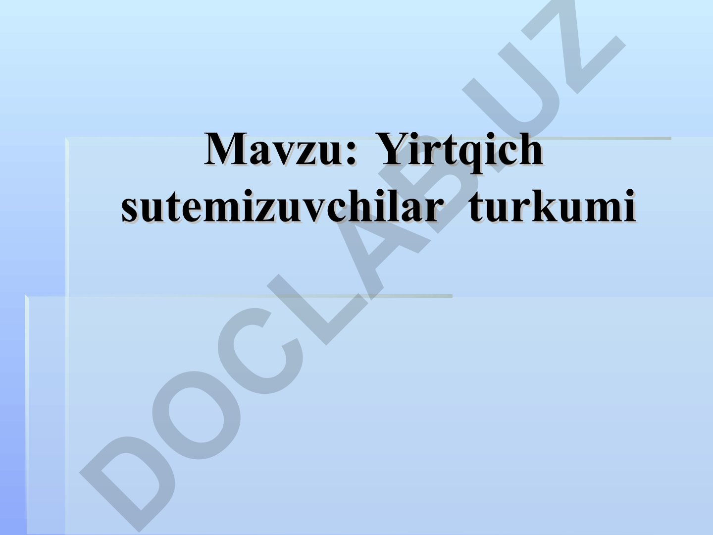 Yirtqich sutemizuvchilar turkumi