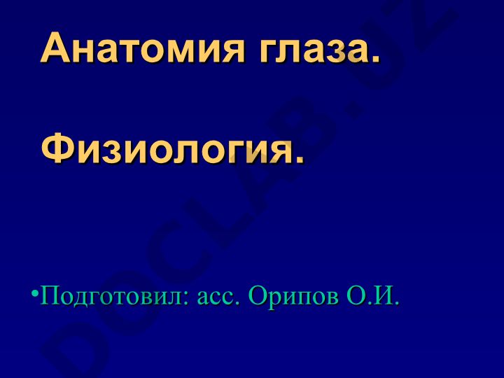 Анатомия и физиология глаза человека