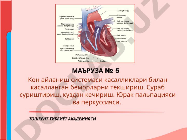 Кон айланиш системаси касалликлари билан касалланган беморларни текшириш
