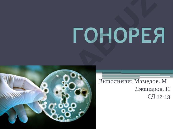 Гонорея: возбудитель, свойства и механизмы устойчивости гонококка