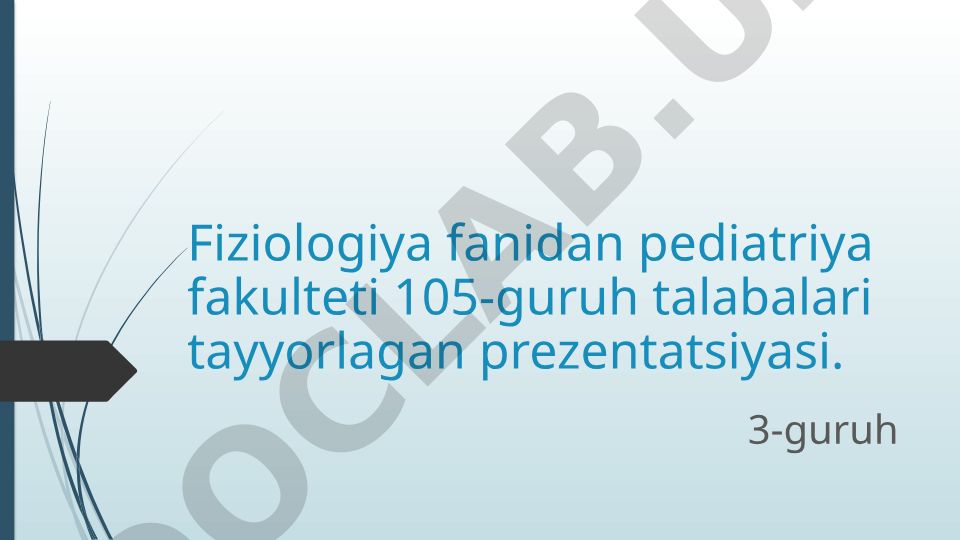 Bosh miya yarim sharlar po'stlog'i va miyacha fiziologiyasi