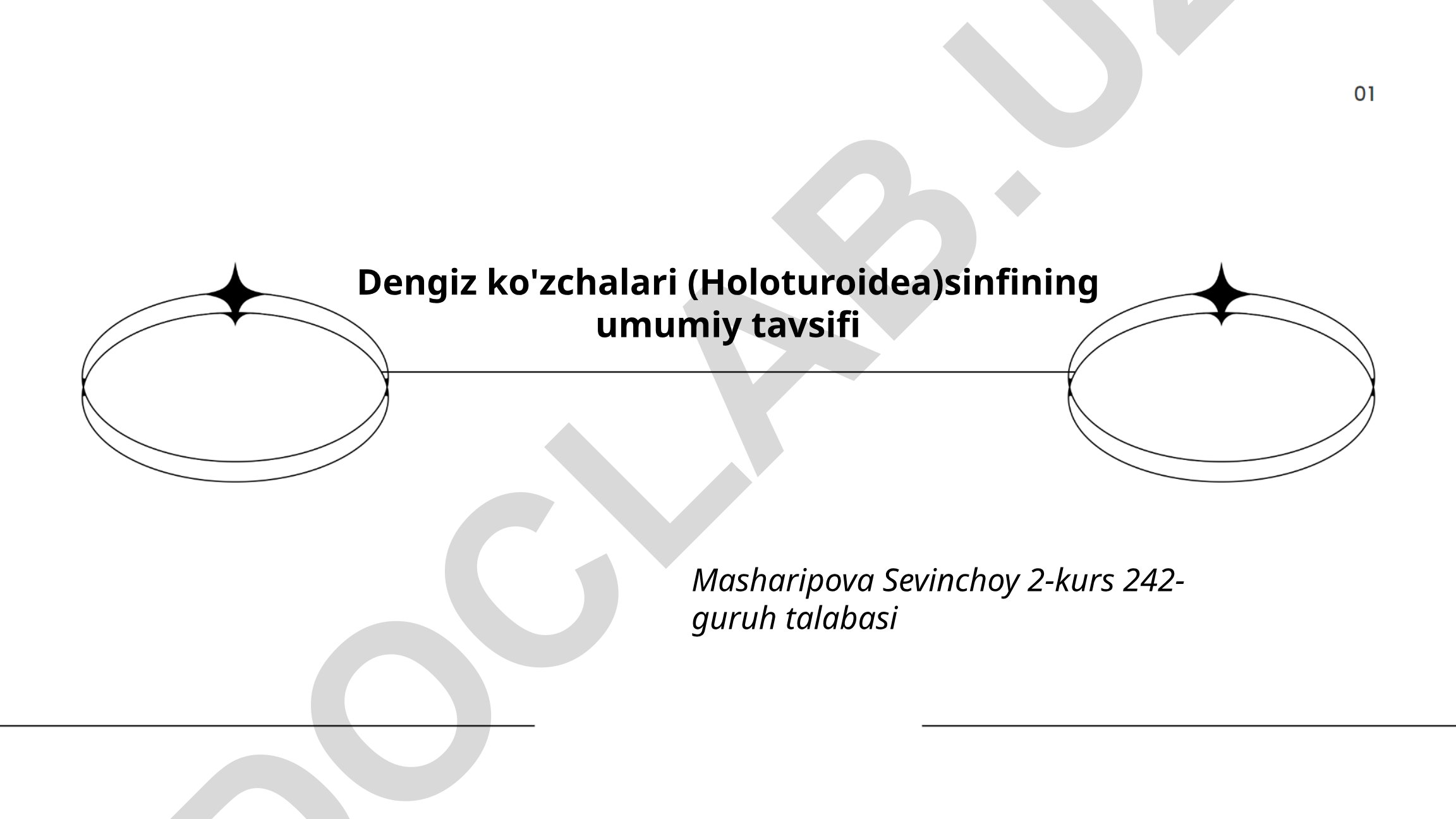 Dengiz ko'zchalari (Holoturoidea) sinfining umumiy tavsifi