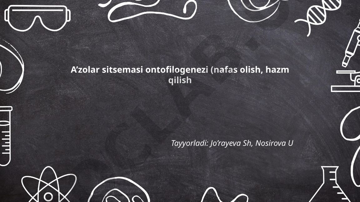 A'zolar sistemasi ontofilogenezi: nafas olish va hazm qilish sistemalarining rivojlanishi