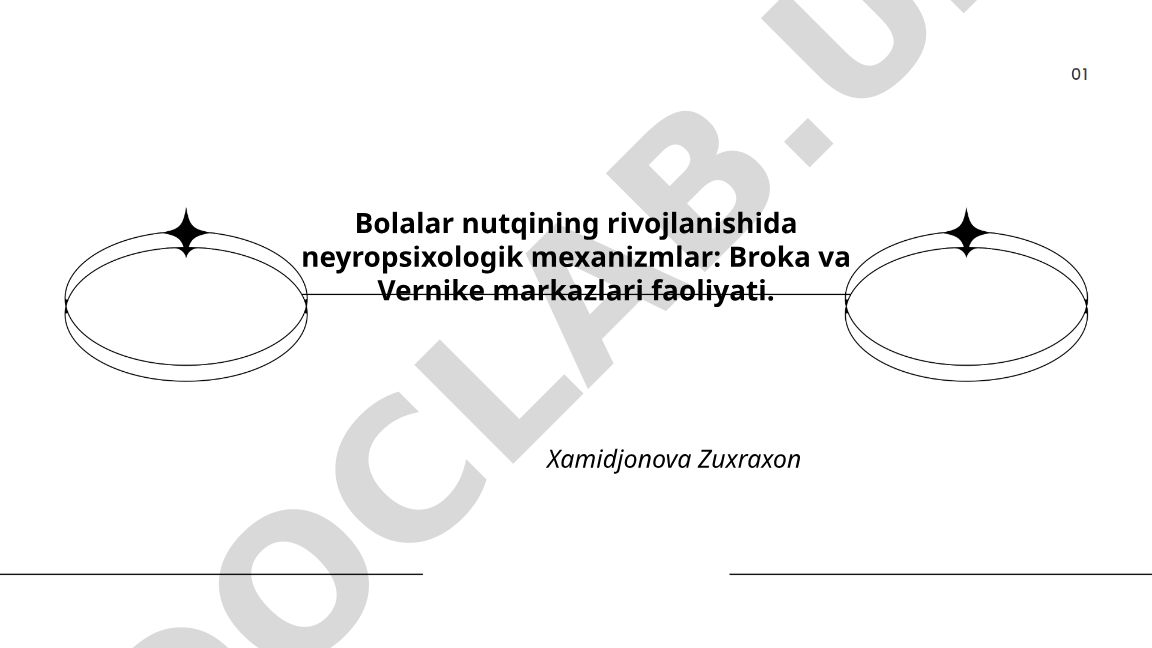 Bolalar nutqining rivojlanishida neyropsixologik mexanizmlar: Broka va Vernike markazlari faoliyati