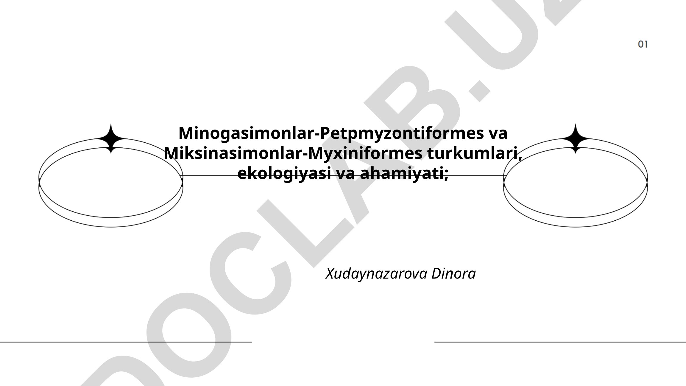 Minogasimonlar va Miksinasimonlar turkumlari, ekologiyasi va ahamiyati