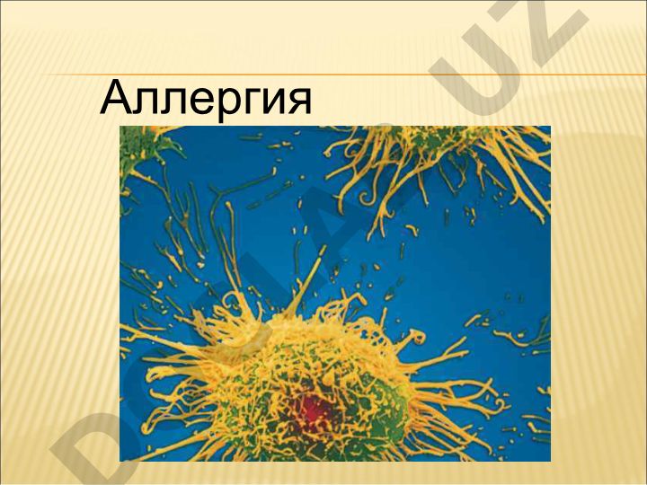 Аллергия: механизмы развития и стадии аллергических реакций