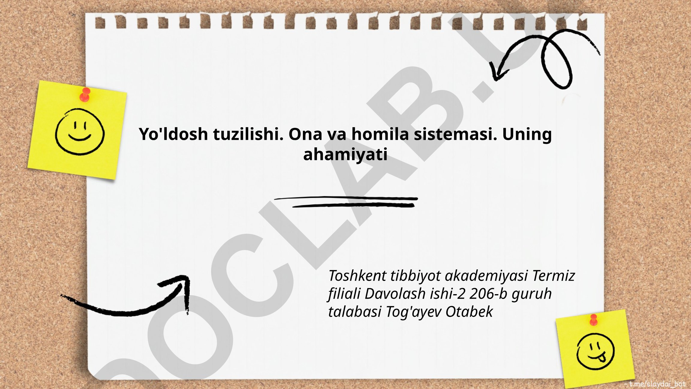Yo'ldosh tuzilishi va ona-homila sistemasi
