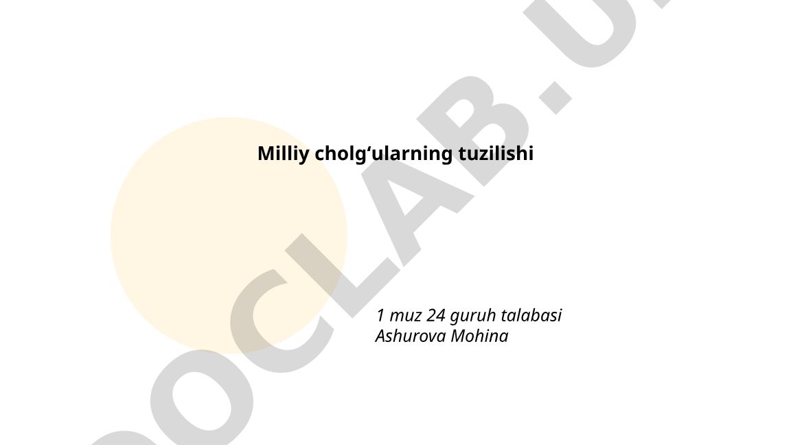 Milliy cholgʻularning tuzilishi