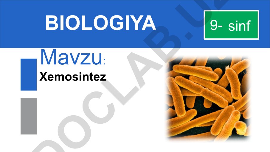 Xemosintez