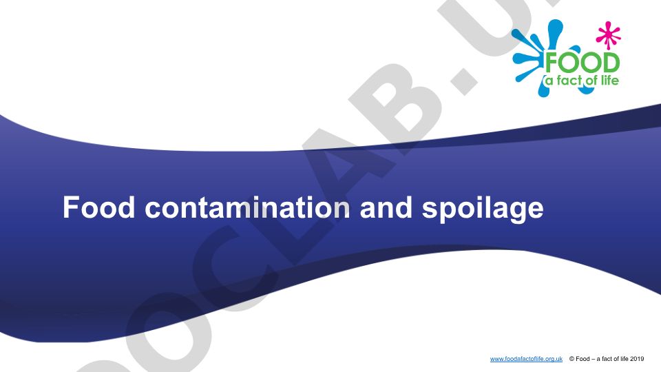 Food contamination and spoilage