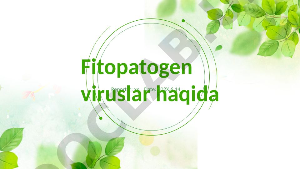 Fitopatogen viruslar haqida