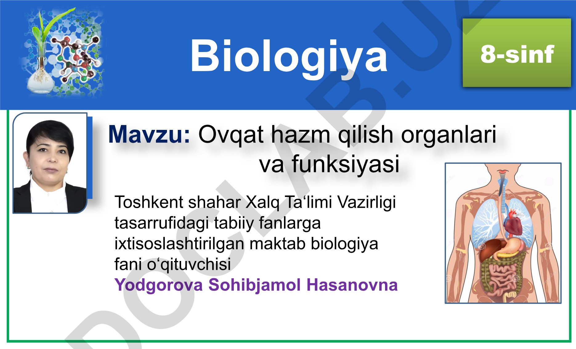 Ovqat hazm qilish organlari va funksiyasi