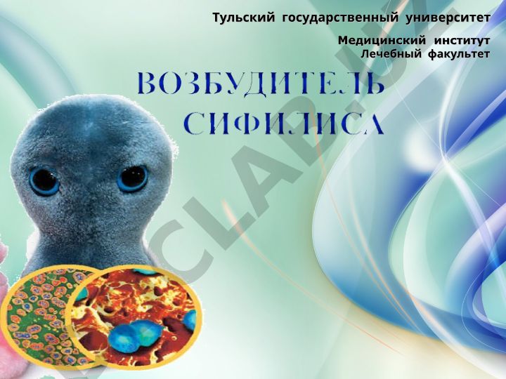 Сифилис – инфекционное венерическое заболевание