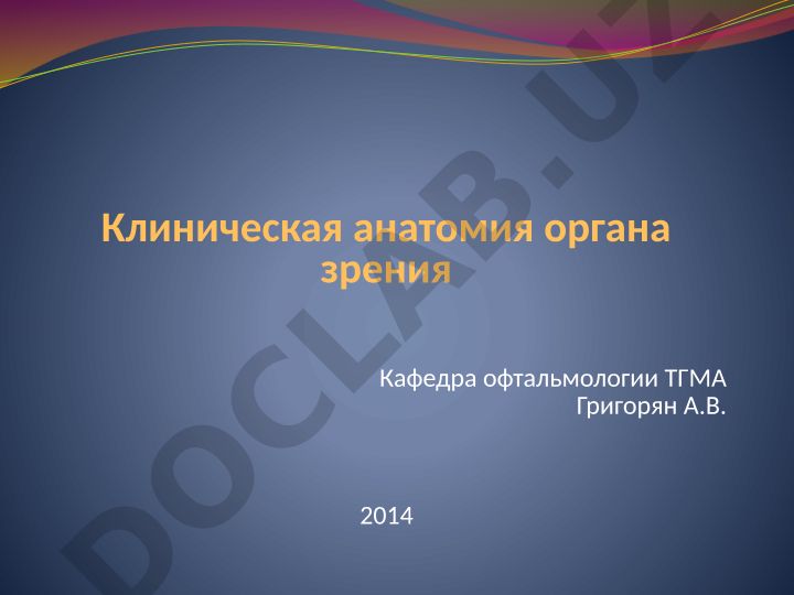 Клиническая анатомия органа зрения