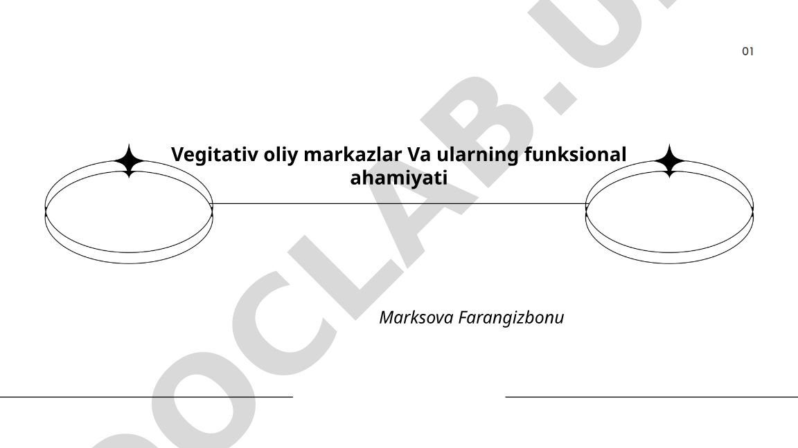 Vegetativ oliy markazlar va ularning funksional ahamiyati