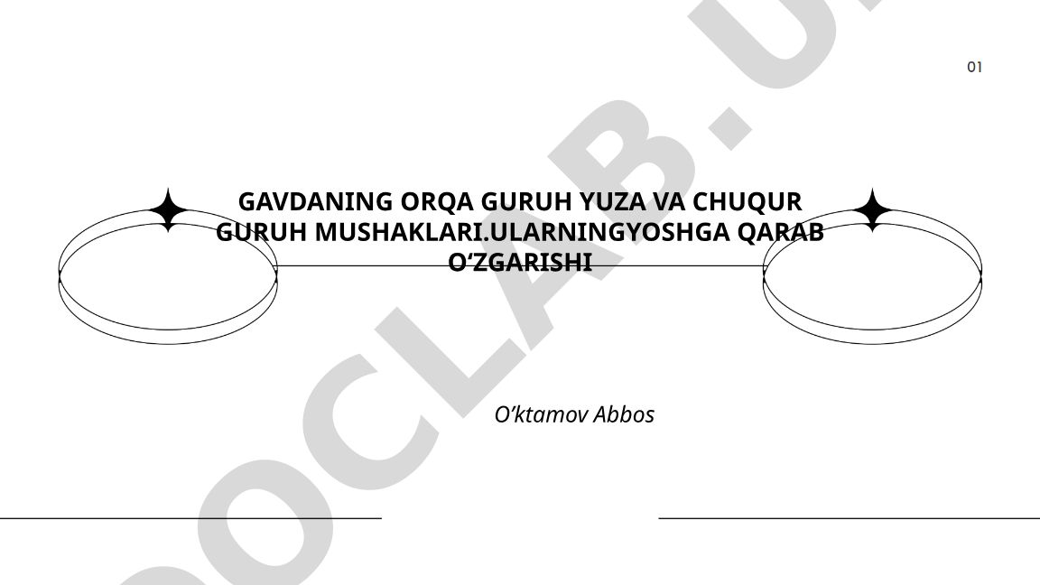 Gavdaning orqa guruh yuzaki va chuqur guruh mushaklari