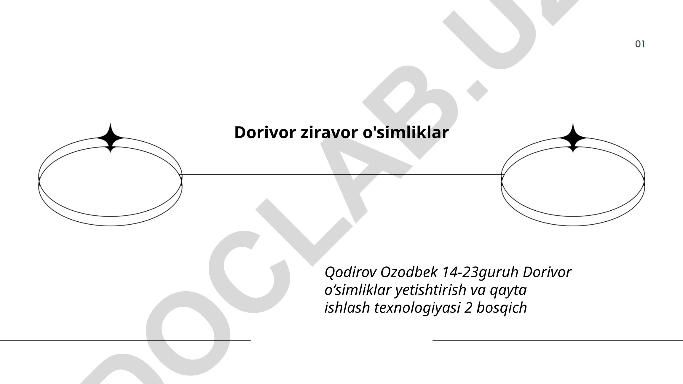 Dorivor ziravor o'simliklar yetishtirish va qayta ishlash texnologiyasi