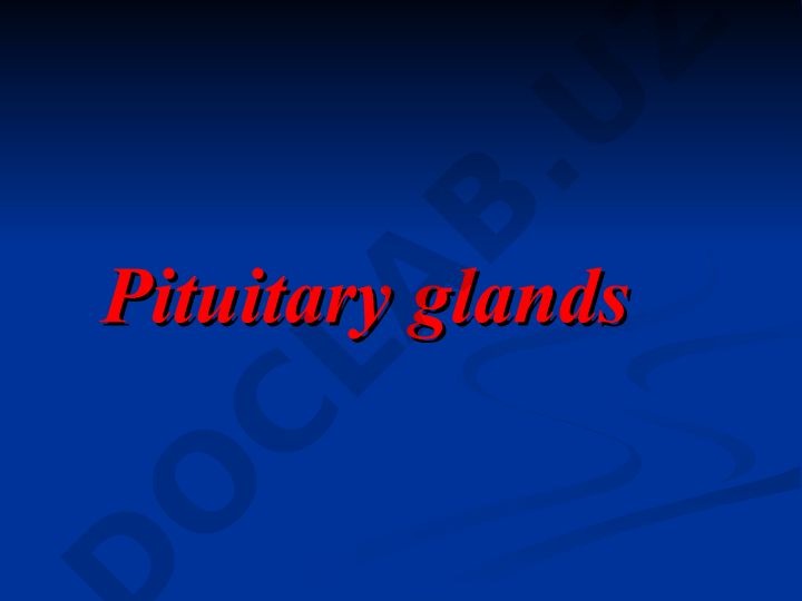 Pituitary gland anatomy and hypothalamic connections