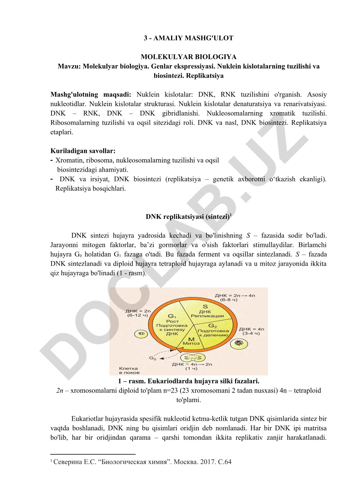 Molekulyar biologiya. Genlar ekspressiyasi. Nuklein kislotalarning tuzilishi va biosintezi. Replikatsiya