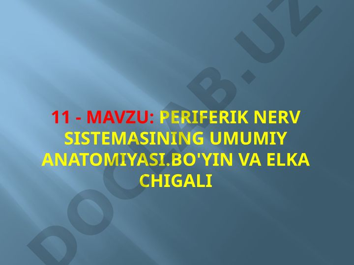 Periferik nerv sistemasining umumiy anatomiyasi. Bo'yin va elka chigali