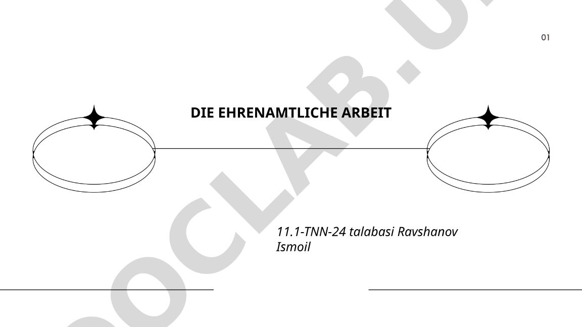 Definition, Geschichte und Motivation ehrenamtlicher Arbeit in Deutschland