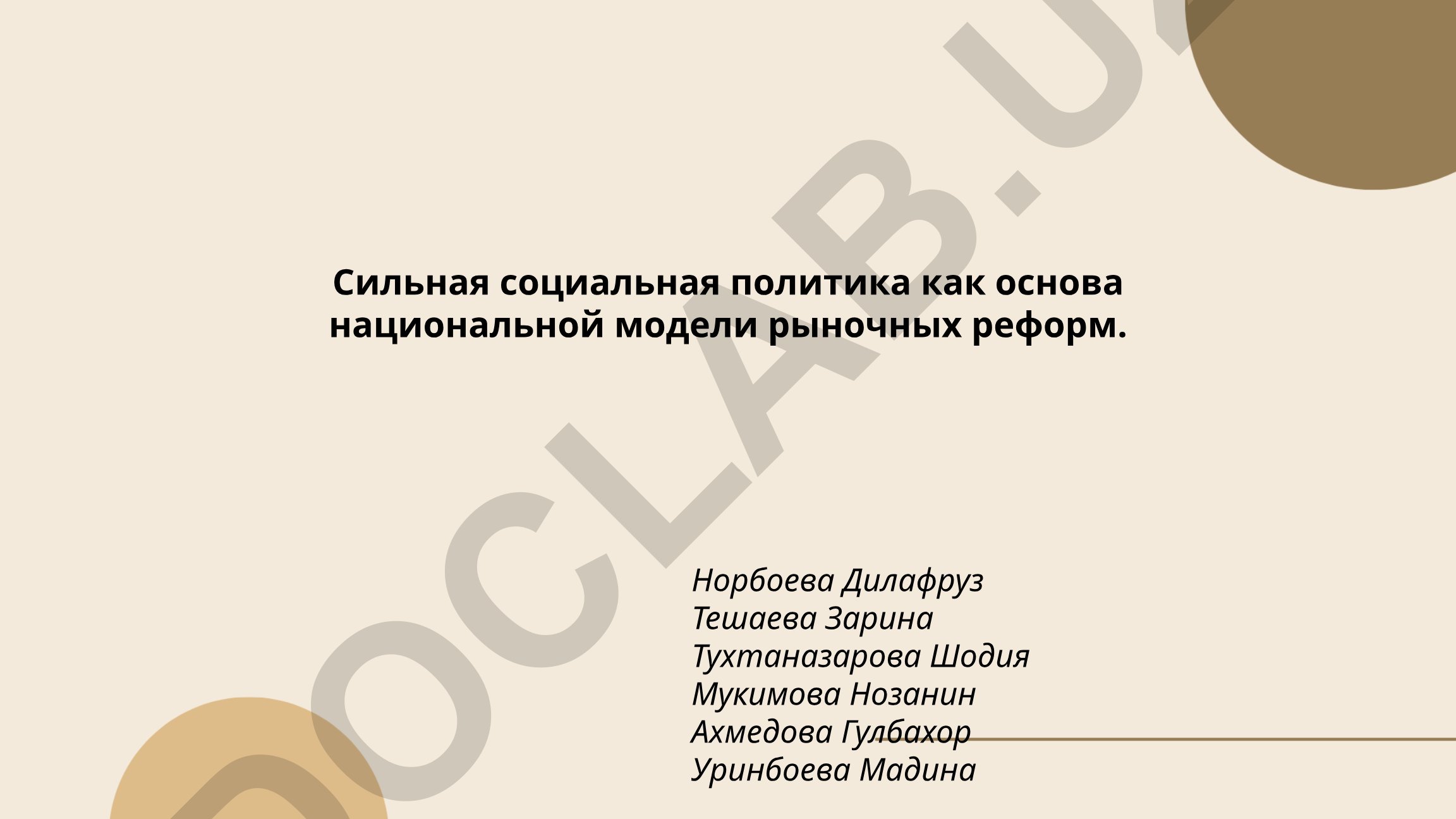 Сильная социальная политика как основа национальной модели рыночных реформ