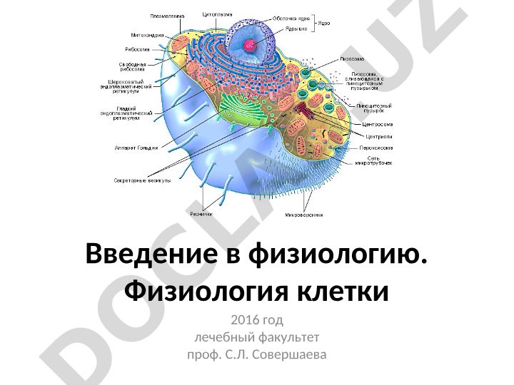 Введение в физиологию. Физиология клетки